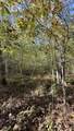 0-Lot 3 Owl Hollow Road - Photo 10