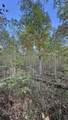 0-Lot 3 Owl Hollow Road - Photo 15