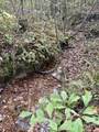 0-Lot 3 Owl Hollow Road - Photo 17
