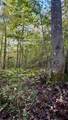 0-Lot 3 Owl Hollow Road - Photo 7