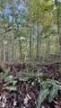 0-Lot 3 Owl Hollow Road - Photo 8