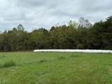 Tract 5-5 Fagin Road - Photo 10