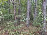 Tract 5-5 Fagin Road - Photo 14