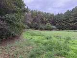 Tract 5-5 Fagin Road - Photo 16