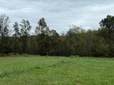 Tract 5-5 Fagin Road - Photo 3