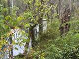 Tract 5-5 Fagin Road - Photo 4