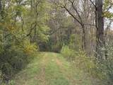 Tract 5-5 Fagin Road - Photo 5