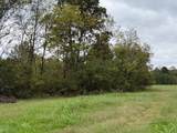 Tract 5-5 Fagin Road - Photo 9