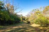 8971 Kevin Lane - Photo 60