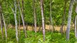 Lot 35 River Ridge Drive - Photo 23