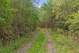 Tract 2 Conniston Road - Photo 4