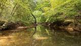 0 Gilliam Road - Photo 39