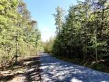 0-Lot 5 Owl Hollow Road - Photo 1