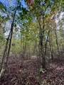 0-Lot 5 Owl Hollow Road - Photo 10