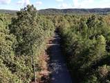 0-Lot 5 Owl Hollow Road - Photo 14