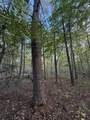 0-Lot 5 Owl Hollow Road - Photo 6