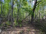 5694 Ladd Springs Road - Photo 6