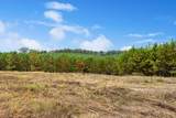 299 County Tract 16 Road - Photo 5