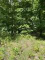 0-296 Roaring Creek Road - Photo 1