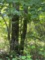 0-296 Roaring Creek Road - Photo 3