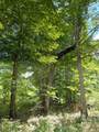 0-296 Roaring Creek Road - Photo 4