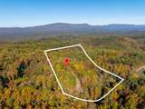 785 Chestnut Mountain Road - Photo 51