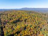 785 Chestnut Mountain Road - Photo 53