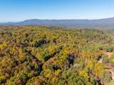 785 Chestnut Mountain Road - Photo 54