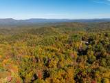 785 Chestnut Mountain Road - Photo 56