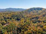 785 Chestnut Mountain Road - Photo 59
