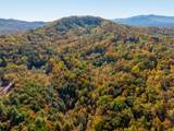 785 Chestnut Mountain Road - Photo 60