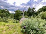 690 Ditch Gap Road - Photo 73