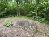 690 Ditch Gap Road - Photo 97
