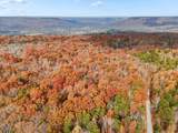 52 Tatum Mining Road - Photo 24