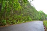 8805 Terrace Falls Drive - Photo 4