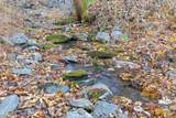 180 Cohutta Forest Road - Photo 3