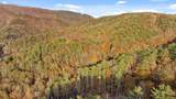 180 Cohutta Forest Road - Photo 49