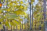 680 Rattlesnake Spring Road - Photo 8