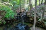 110 Falls Lane - Photo 55