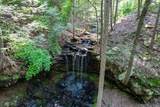 110 Falls Lane - Photo 57