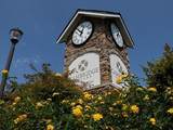 8862-103 Snowy Owl Road - Photo 10
