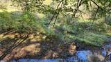 691-Tract #3 Summertown (4.61 Acres) Road - Photo 6