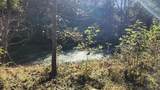 691-Tract #3 Summertown (4.61 Acres) Road - Photo 7