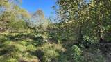 691-Tract #3 Summertown (4.61 Acres) Road - Photo 8