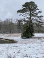 698 Payne Chapel Road - Photo 98