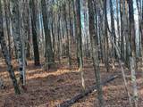 Lot 9-Lot 9 Hwy 11 - Photo 10