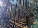 Lot 10-Lot 10 Hwy 11 - Photo 11