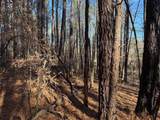 Lot 10-Lot 10 Hwy 11 - Photo 4