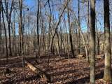 Lot 5-Lot 5 County Road 751 - Photo 14