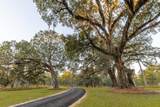 9700 Old Magnolia Road - Photo 83